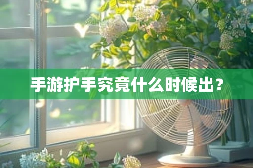 手游护手究竟什么时候出？