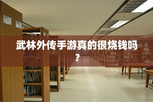 武林外传手游真的很烧钱吗？
