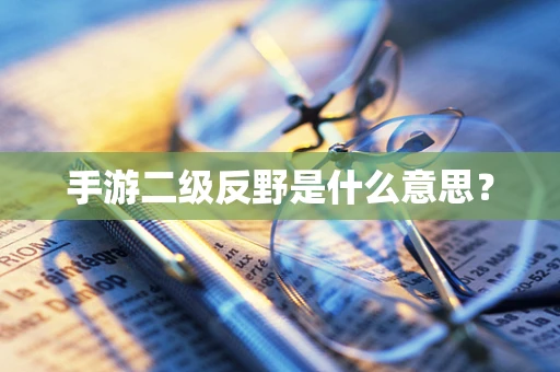 手游二级反野是什么意思？