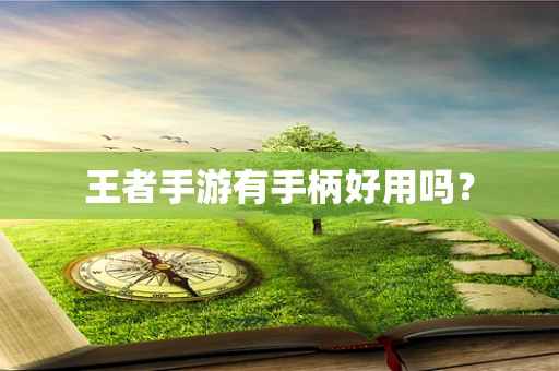 王者手游有手柄好用吗？