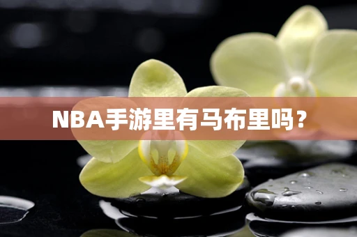 NBA手游里有马布里吗？