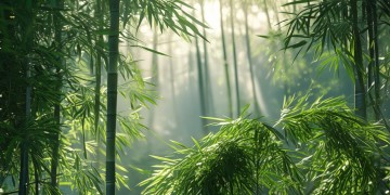 楚留香手游用什么镜头才合适？