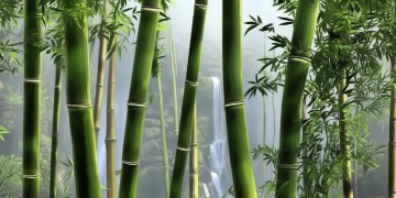 功夫熊猫3手游互通吗？